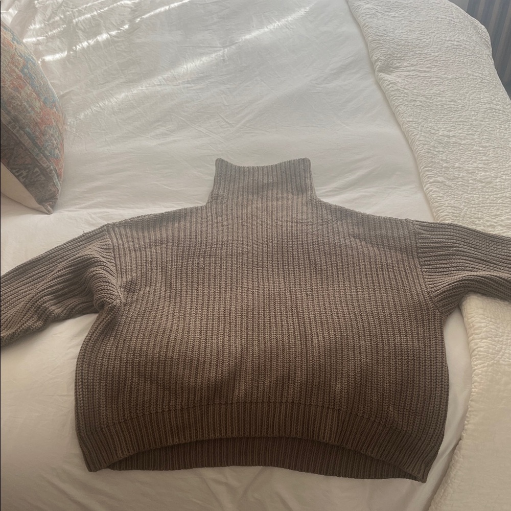 Free People Taupe Turtleneck Sweater